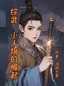 综武:小人物的崛起 综武:小人物的崛起