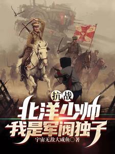 抗战:北洋少帅,我是军阀独子 抗战:北洋少帅,我是军阀独子