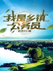 我是乡镇公务员 我是乡镇公务员