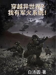穿越异世界?我有军火系统! 穿越异世界?我有军火系统!