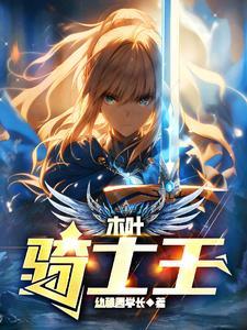 木叶骑士王 木叶骑士王
