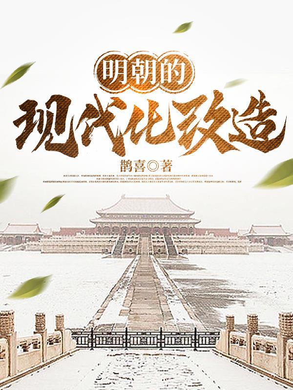 明朝的现代化改造 明朝的现代化改造