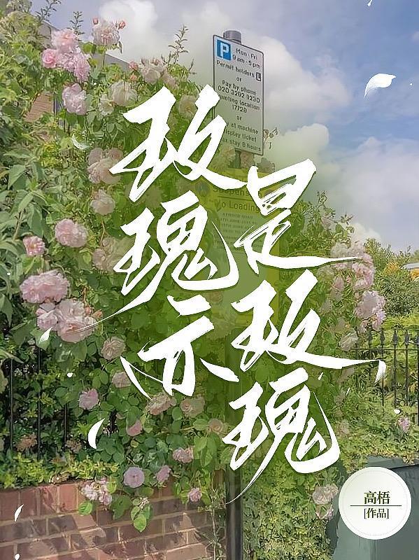 玫瑰亦是玫瑰 玫瑰亦是玫瑰