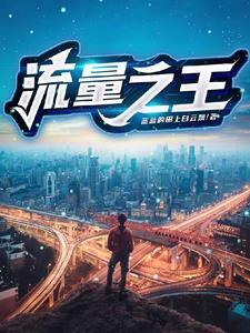 流量之王 流量之王