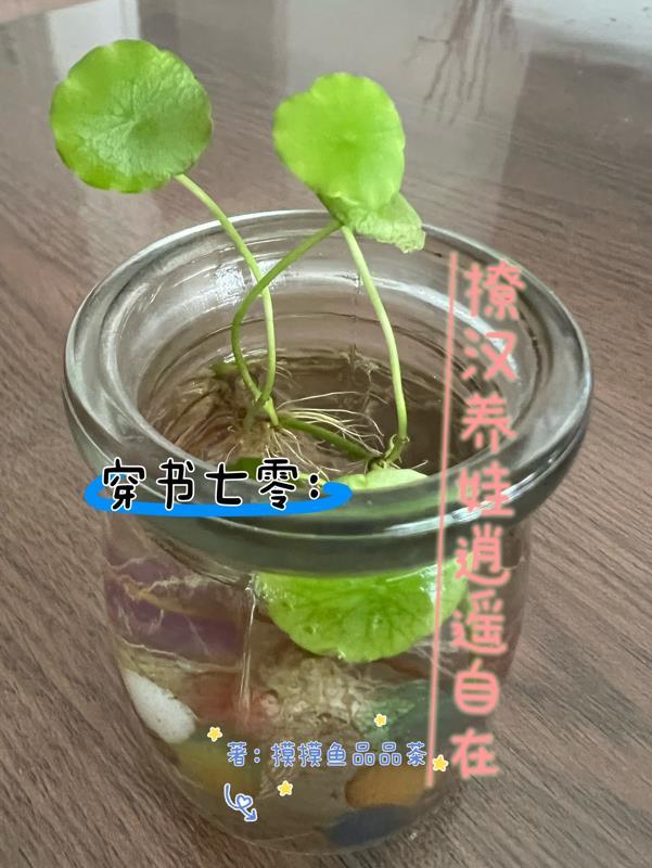 穿书七零:撩汉养娃逍遥自在 穿书七零:撩汉养娃逍遥自在