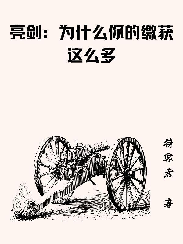 亮剑:为什么你的缴获这么多 亮剑:为什么你的缴获这么多
