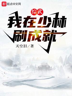 综武:我在少林刷成就 综武:我在少林刷成就