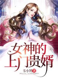 女神的上门贵婿 女神的上门贵婿