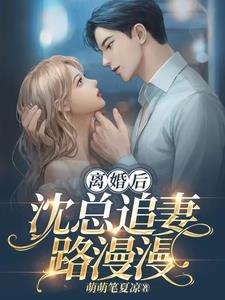 离婚后沈总追妻路漫漫 离婚后沈总追妻路漫漫
