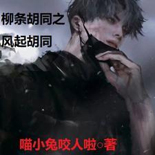柳条胡同之风起胡同 柳条胡同之风起胡同
