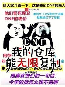 DNF:我的仓库能无限复制 DNF:我的仓库能无限复制