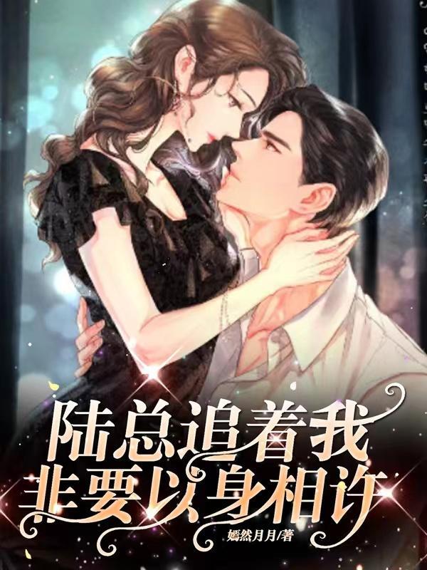 陆总追着我非要以身相许, 陆总追着我非要以身相许,