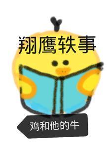 翔鹰轶事 翔鹰轶事