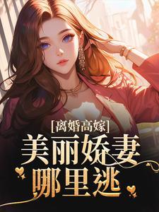 离婚高嫁:美丽娇妻哪里逃 离婚高嫁:美丽娇妻哪里逃