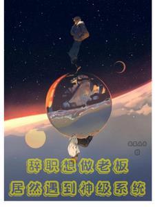 辞职想做老板居然遇到神级系统 辞职想做老板居然遇到神级系统