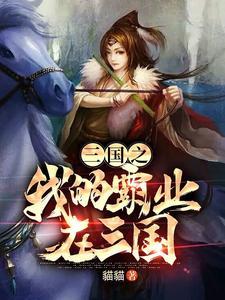 三国之我的霸业在三国 三国之我的霸业在三国