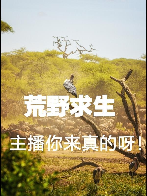 荒野求生:主播你来真的呀! 荒野求生:主播你来真的呀!