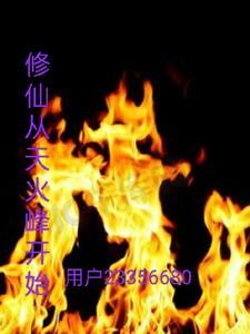 天火王氏:雄起雄起 天火王氏:雄起雄起