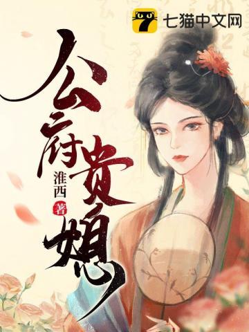 公府贵媳 公府贵媳