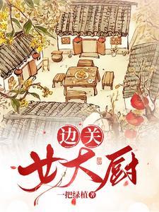 边关女大厨 边关女大厨
