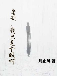 老天,我只是个贼啊 老天,我只是个贼啊