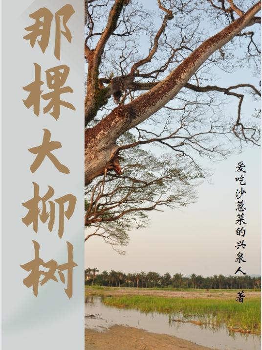 那棵大柳树 那棵大柳树