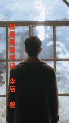 我是县委书记 我是县委书记