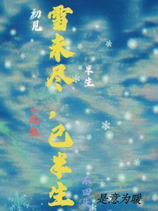 雪未尽,已半生 雪未尽,已半生