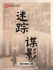 迷踪谍影 迷踪谍影