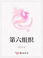 第六组织 第六组织