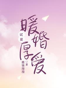 试爱:暖婚厚爱 试爱:暖婚厚爱