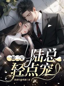 一胎二宝,陆总轻点宠 一胎二宝,陆总轻点宠
