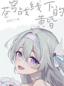 苍穹战线下的黄昏 苍穹战线下的黄昏