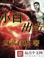 小白出击 小白出击