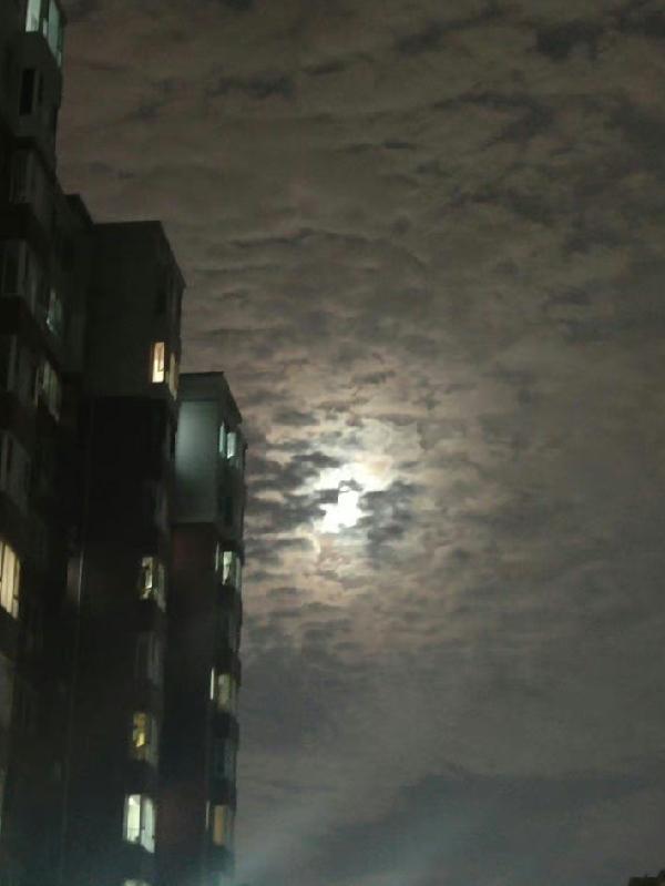 末世重生之全家低调苟着 末世重生之全家低调苟着