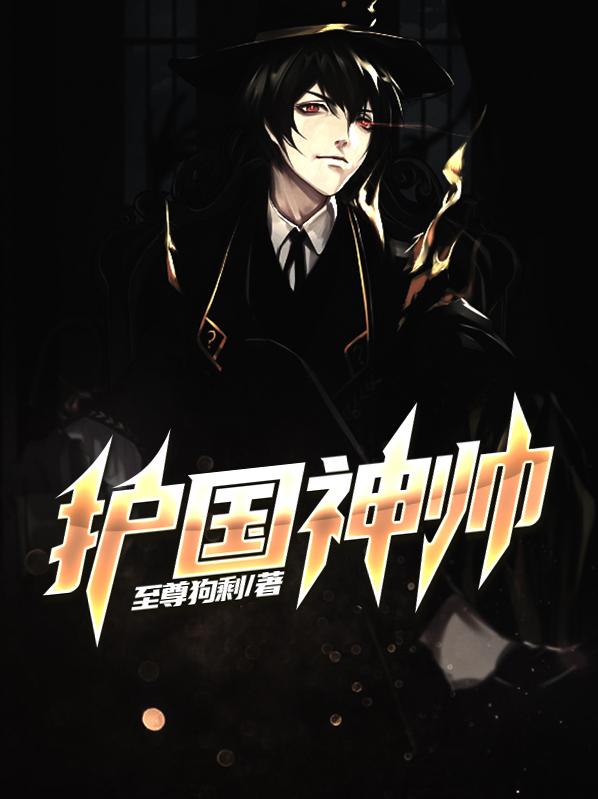 护国神帅 护国神帅