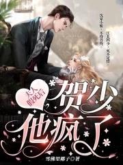 夫人假死后,贺少他疯了 夫人假死后,贺少他疯了