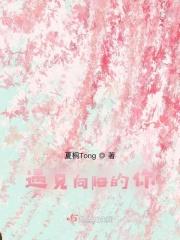 遇见向阳的你 遇见向阳的你