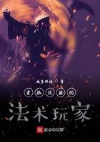 霍格沃兹的法术玩家 霍格沃兹的法术玩家