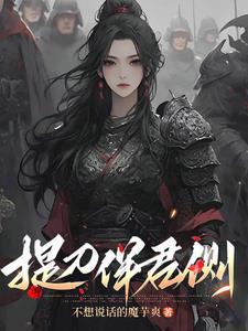 提刀伴君侧 提刀伴君侧