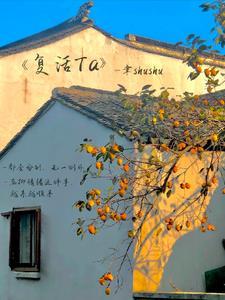 复活ta 复活ta