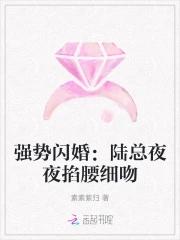 强势闪婚:陆总夜夜掐腰细吻 强势闪婚:陆总夜夜掐腰细吻
