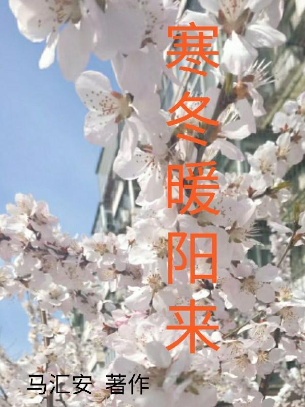 寒冬暖阳来 寒冬暖阳来