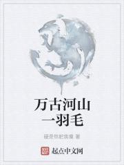 万古河山一羽毛 万古河山一羽毛