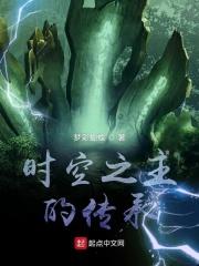 时空之主的传承 时空之主的传承