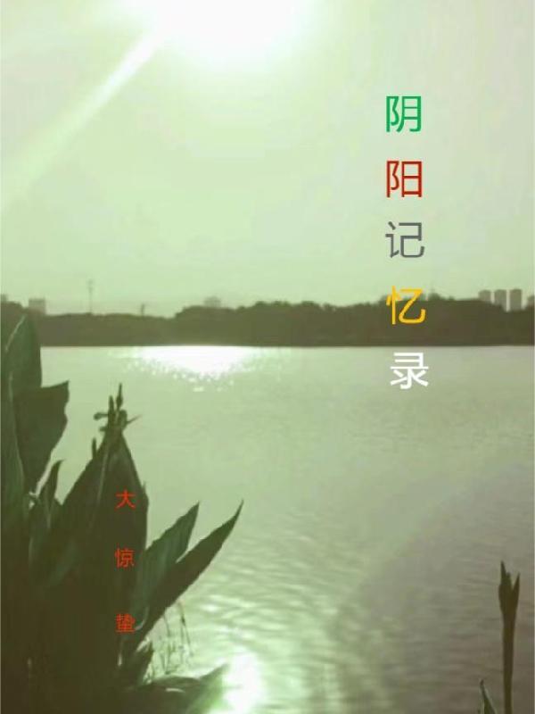 阴阳记忆录 阴阳记忆录