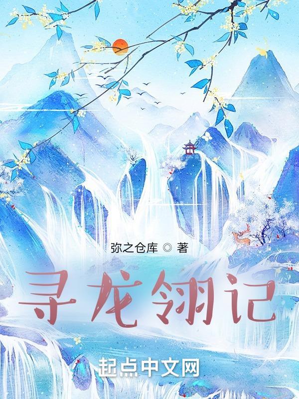 寻龙翎记 寻龙翎记
