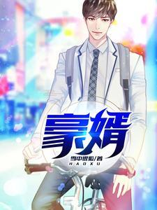 豪婿 豪婿