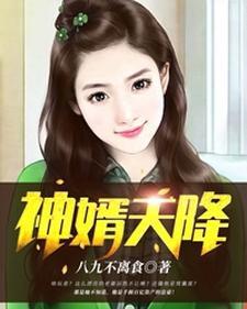 神婿天降 神婿天降