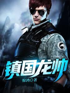 镇国龙帅 镇国龙帅